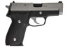 Tanaka SIG P228 Evolution 2 Two-Tone All Heavy Weight Model Gun - Cerakote Finish