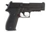 Tanaka SIG P226 Railed Frame Evolution Heavy Weight (Dummy Non Shooting Model)