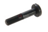 Systema PTW Stock Swivel Screw