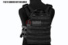 Crye Precision (By ZShot) AVS / JPC Zip-On Molle Back Panel (L Size / Black)