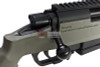 ARES Amoeba STRIKER AS03 Airsoft Sniper Rifle - OD (Spring Power)