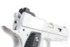 RWA Nighthawk Custom AGENT 2 Green Gas Airsoft Pistol - Cerakote Silver