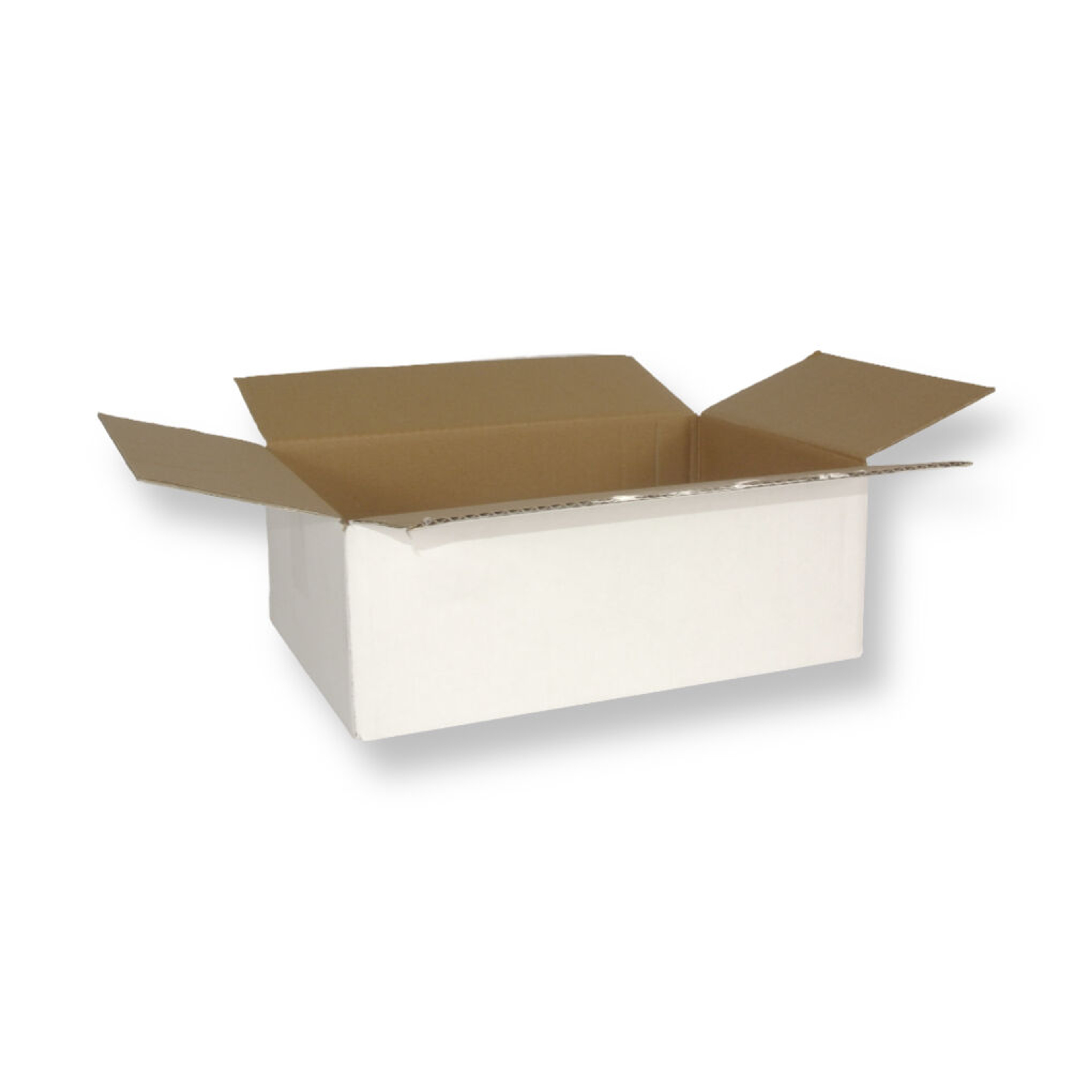 0201 290x190x100mm B Wit Nieuw