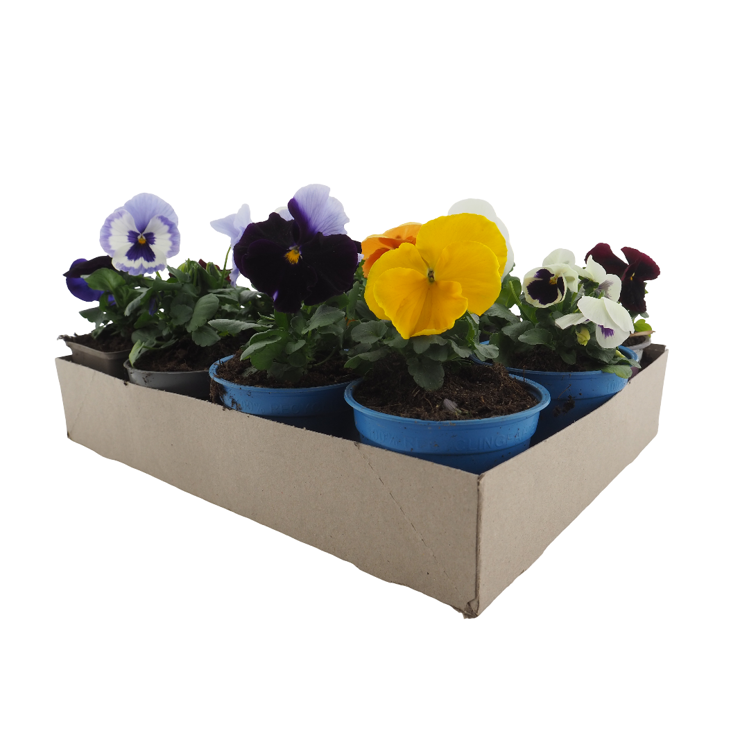 440x330x80mm tray v1