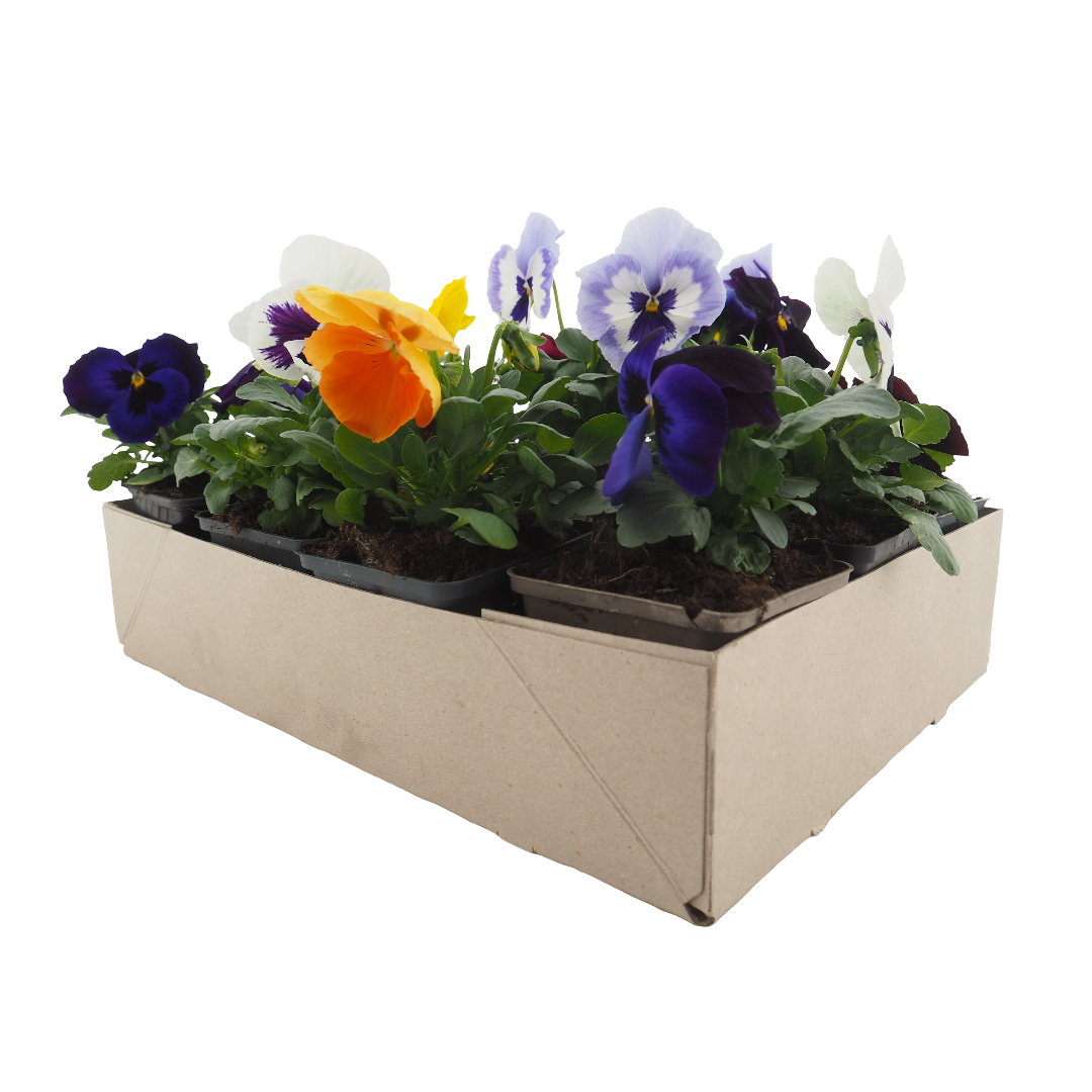 380x280x85mm tray v2