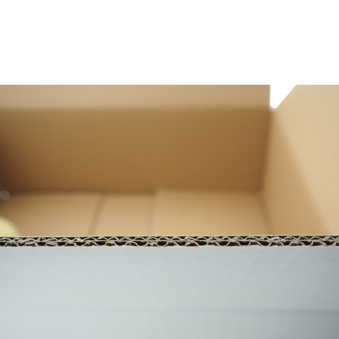 0201 495x390x160mm BE v2