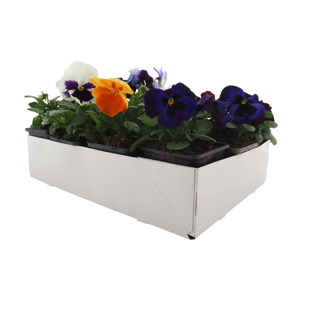 Multi-image 1 for 380x280x85mm Volpappe Weiß Neu 420g Qualität