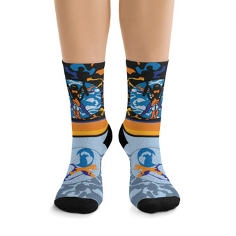 Leonardo da Vinci Vitruvian Man gray blue black yellow artist art socks