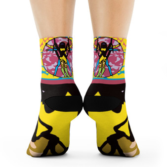 Leonardo da Vinci Vitruvian Man art socks