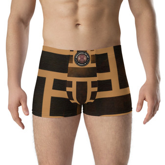 On Sale Caravaggio Medusa Brown Boxer Briefs  by Neoclassical Pop Art