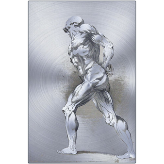 Rubens anatomical male figure artwork printed on a silver metal panel