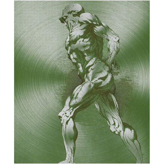 Rubens Anatomical Male Figure Olive Green Print on Metal by Neoclassical Pop Art