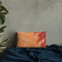 On sale orange Old Masters pillow for sale online by Neoclassical Pop Art online designer art fashion and design brand  