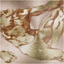 Michelangelo Anatomical Adam metal print: rose-gold torso crop with reaching hand, circular brush.