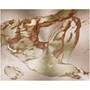 Close Michelangelo Anatomical Adam metal art: diagonal nude torso on rose-gold brushed aluminum.