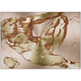 Michelangelo Anatomical Adam rose-gold metal: reclining muscular hip study with engine-turned grain.