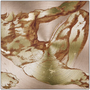 Square Michelangelo Anatomical Adam metal art: abstract floating figure in gold on rose-gold brush.