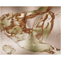Landscape Michelangelo Anatomical Adam metal print: diagonal nude study on copper circular brush.