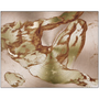 Michelangelo Anatomical Adam metal print: fresco-like gold-rust torso patches on rose-gold brush.