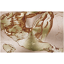 Horizontal Michelangelo Anatomical Adam metal: twisting torso-thighs on pale rose-gold circular brush.