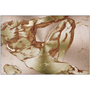 Rectangular Michelangelo Anatomical Adam metal print: full torso-thighs on rose-gold radial brush.