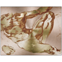 Square Michelangelo Anatomical Adam metal print: twisting torso raised arm on rose-gold radial brush.