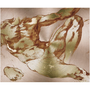 Square Michelangelo Anatomical Adam metal print: sepia torso sketch on shimmering rose-gold spun plate.