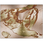 Rectangular Michelangelo Anatomical Adam metal: twisting nude torso on rose-gold brushed aluminum panel.