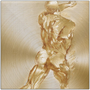 Square Rubens Anatomical Male Figure gold art: close rear back-thigh crop on circular brushed metal.