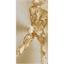 Vertical Rubens Anatomical Male Nude brass art: athletic rear stride etched on shimmering gold brush.