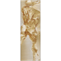 Vertical Rubens Anatomical Male Nude gold metal: tall rear calf-to-shoulder crop on champagne brush.
