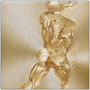 Square Rubens Anatomical Male Figure brass print: rear back musculature with raised arm on spun gold.