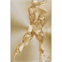 Vertical Rubens Anatomical Male Nude gold metal: full rear lunge etched on radial brushed brass panel.