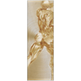 Tall Rubens Anatomical Male Figure brass panel: thick gold-leaf rear torso on silvery circular brush.