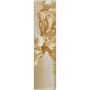 Tall Rubens Anatomical Male Figure brass print: rear torso offset right on luminous champagne brush halo.