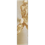 Square Rubens Anatomical Male Nude gold metal: engraved rear back musculature on circular spun brass.