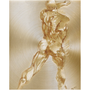 Square Rubens Anatomical Male Nude gold print: rear back-thigh hatching on circular brushed brass plate.