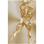 Vertical Rubens Anatomical Male Figure brass art: full rear athlete with arm at head on gold brush panel.