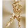 Square Rubens Anatomical Male Figure brass metal: dynamic rear stride hatching on concentric gold brush.