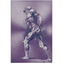 Rubens Anatomical Male Figure Purple Print on Metal