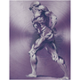 Rubens Anatomical Male Figure Purple Print on Metal by Neoclassical Pop Art