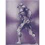 Rubens Anatomical Male Figure Purple Print on Metal by Neoclassical Pop Art