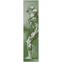 Rubens Anatomical Male Figure Olive Green Print on Metal by Neoclassical Pop Art
