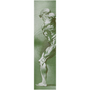 Rubens Anatomical Male Figure Olive Green Print on Metal by Neoclassical Pop Art