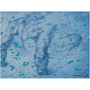 Michelangelo Male Figure in Blue Premium Art Prints by Neoclassical Pop Art