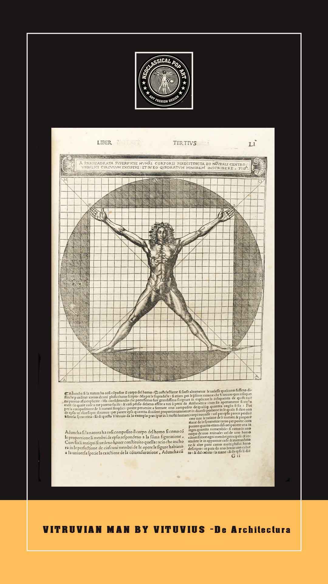 vitruvian man drawing 