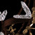 Volare 100157-8 close-up showing crystal butterfly and chain details in Brushed Bronze