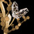 Volare 100157-7 close-up showing crystal butterfly details in Burnished Gold