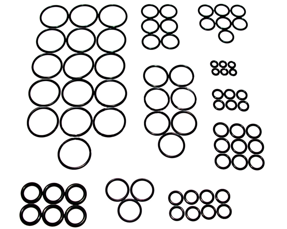 ANS O-Ring Kit
