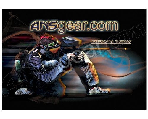 ANSGEAR Down Low Sticker